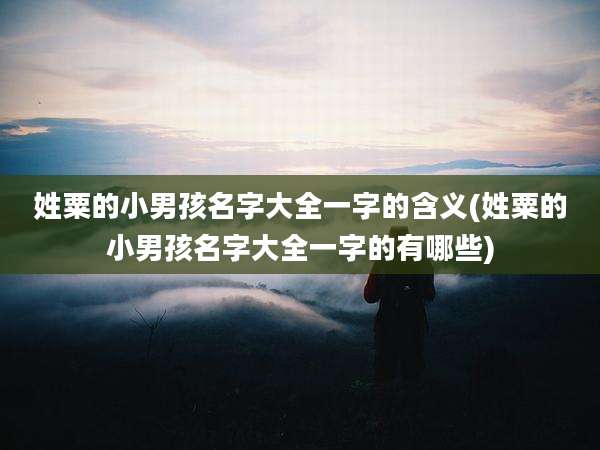 姓粟的小男孩名字大全一字的含义(姓粟的小男孩名字大全一字的有哪些)