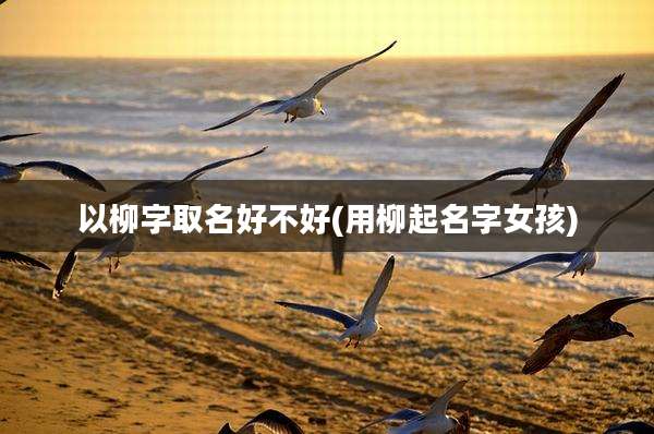 以柳字取名好不好(用柳起名字女孩)