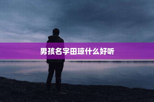 男孩名字田琼什么好听