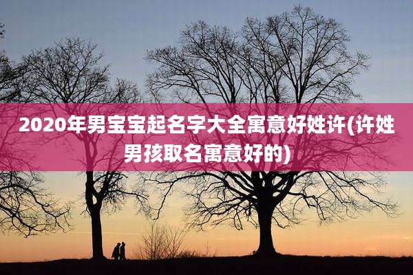 2020年男宝宝起名字大全寓意好姓许(许姓男孩取名寓意好的)