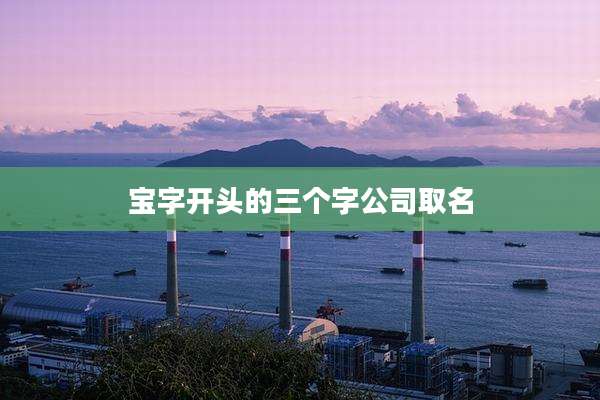 宝字开头的三个字公司取名