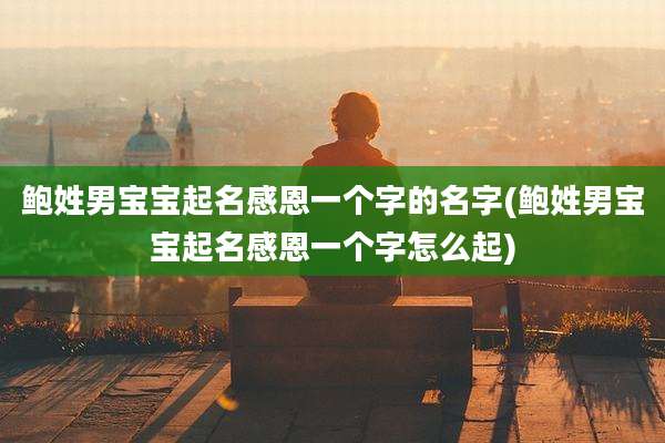 鲍姓男宝宝起名感恩一个字的名字(鲍姓男宝宝起名感恩一个字怎么起)