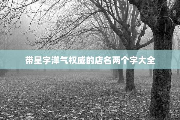 带星字洋气权威的店名两个字大全