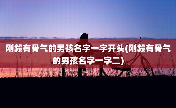 刚毅有骨气的男孩名字一字开头(刚毅有骨气的男孩名字一字二)