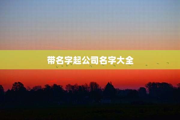 带名字起公司名字大全