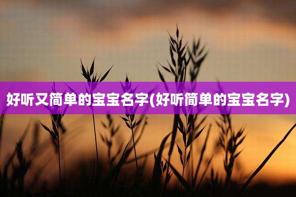 好听又简单的宝宝名字(好听简单的宝宝名字)