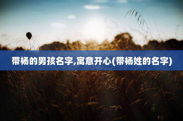 带杨的男孩名字,寓意开心(带杨姓的名字)