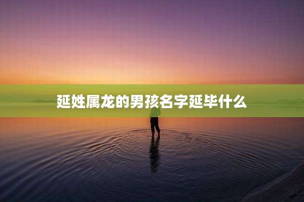 延姓属龙的男孩名字延毕什么