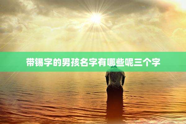 带锡字的男孩名字有哪些呢三个字