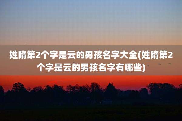姓隋第2个字是云的男孩名字大全(姓隋第2个字是云的男孩名字有哪些)