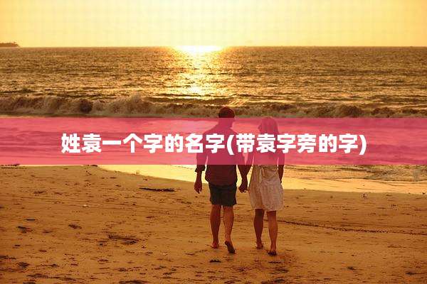 姓袁一个字的名字(带袁字旁的字)