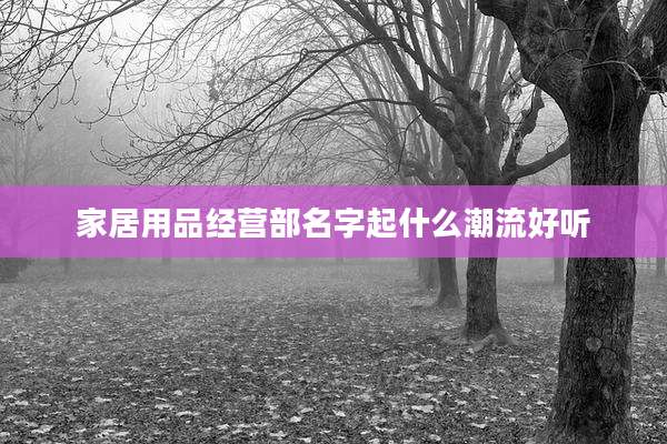 家居用品经营部名字起什么潮流好听