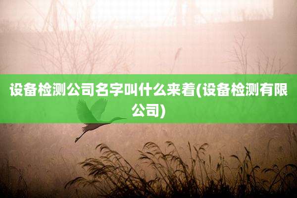 设备检测公司名字叫什么来着(设备检测有限公司)