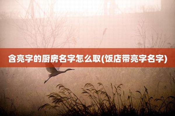 含亮字的厨房名字怎么取(饭店带亮字名字)