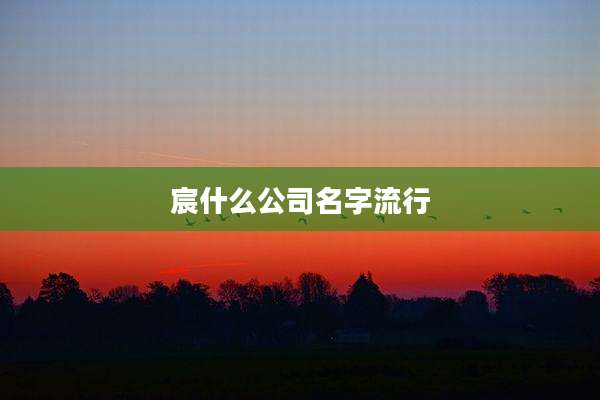 宸什么公司名字流行