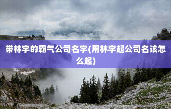 带林字的霸气公司名字(用林字起公司名该怎么起)