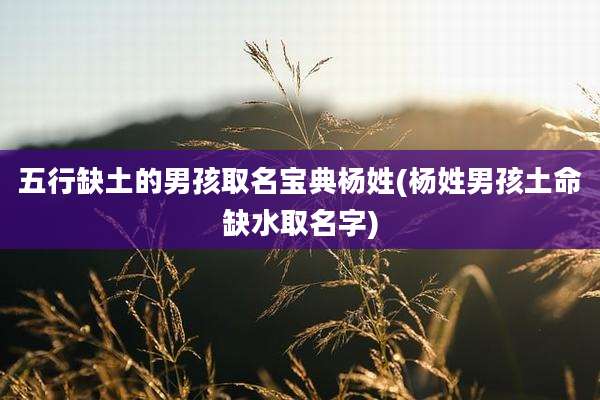 五行缺土的男孩取名宝典杨姓(杨姓男孩土命缺水取名字)