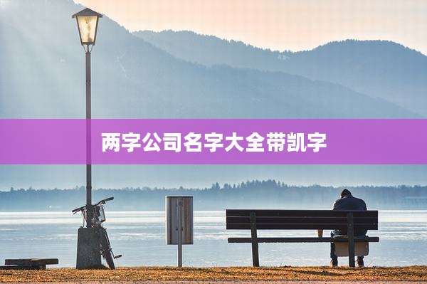 两字公司名字大全带凯字