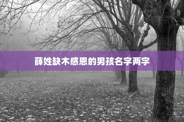 薛姓缺木感恩的男孩名字两字