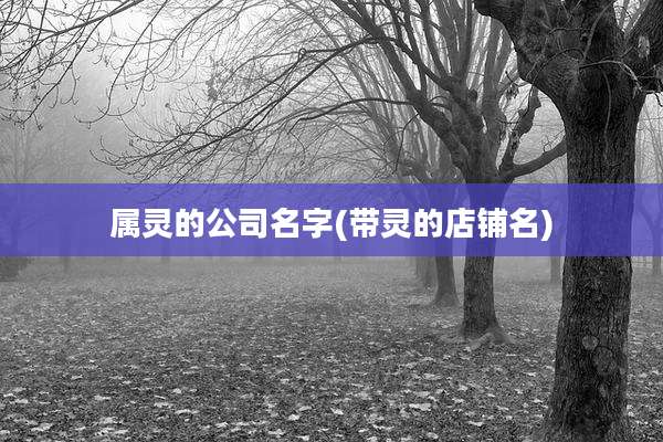 属灵的公司名字(带灵的店铺名)