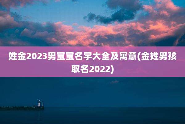 姓金2023男宝宝名字大全及寓意(金姓男孩取名2022)