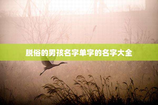 脱俗的男孩名字单字的名字大全