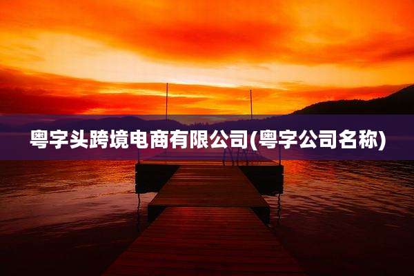 粤字头跨境电商有限公司(粤字公司名称)