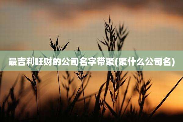 最吉利旺财的公司名字带聚(聚什么公司名)