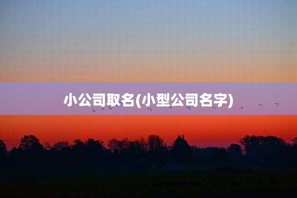 小公司取名(小型公司名字)