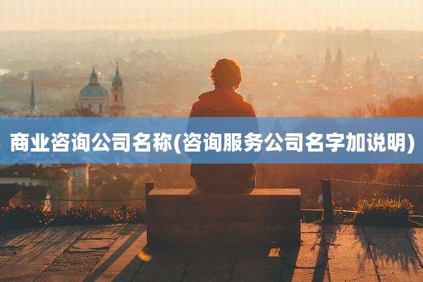 商业咨询公司名称(咨询服务公司名字加说明)