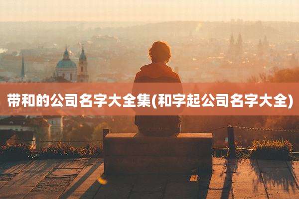 带和的公司名字大全集(和字起公司名字大全)