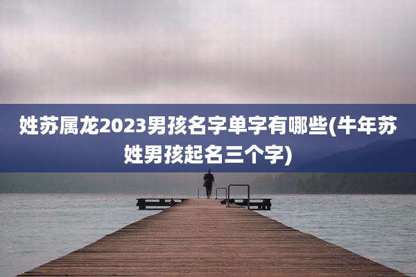 姓苏属龙2023男孩名字单字有哪些(牛年苏姓男孩起名三个字)