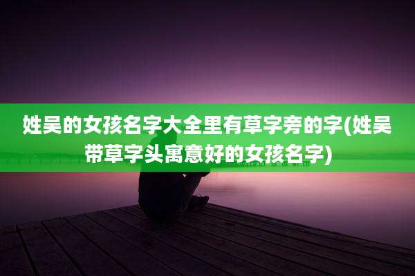 姓吴的女孩名字大全里有草字旁的字(姓吴带草字头寓意好的女孩名字)