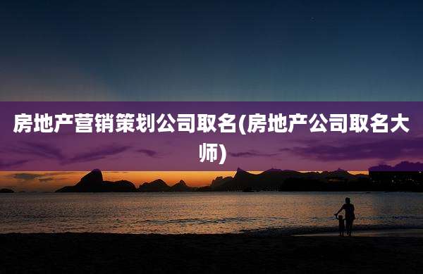房地产营销策划公司取名(房地产公司取名大师)