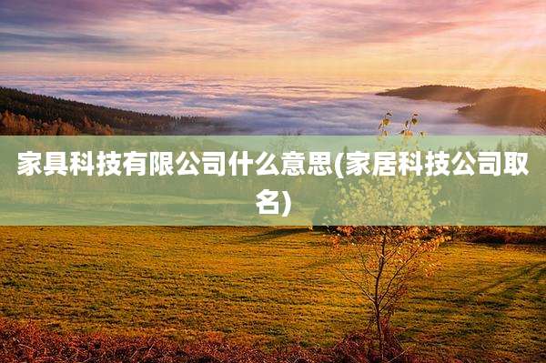 家具科技有限公司什么意思(家居科技公司取名)