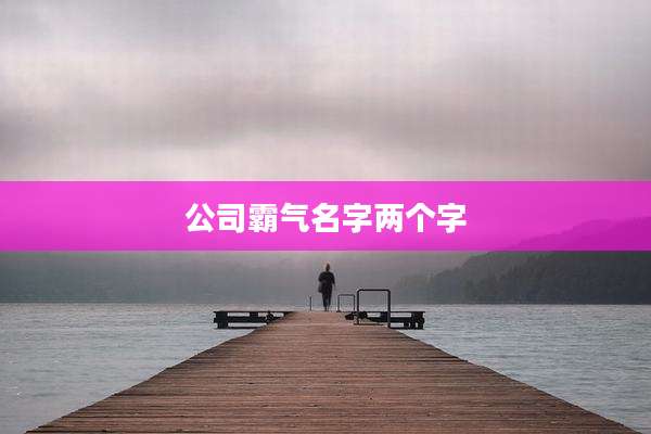 公司霸气名字两个字