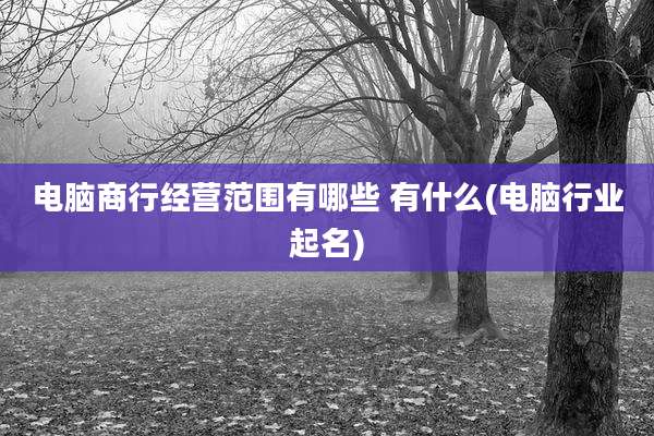 电脑商行经营范围有哪些 有什么(电脑行业起名)