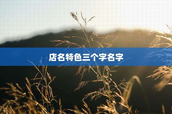 店名特色三个字名字