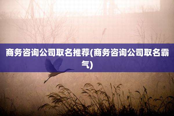 商务咨询公司取名推荐(商务咨询公司取名霸气)