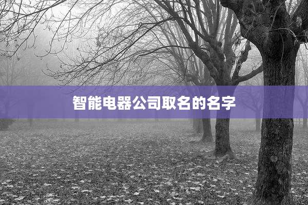 智能电器公司取名的名字