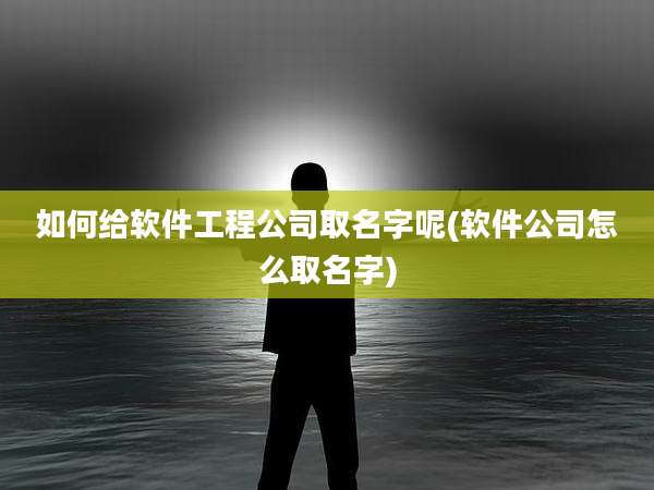 如何给软件工程公司取名字呢(软件公司怎么取名字)