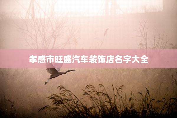 孝感市旺盛汽车装饰店名字大全
