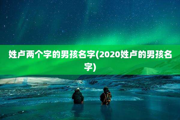 姓卢两个字的男孩名字(2020姓卢的男孩名字)