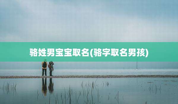 骆姓男宝宝取名(骆字取名男孩)