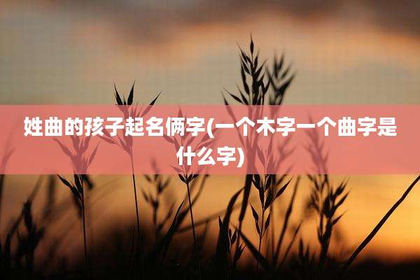 姓曲的孩子起名俩字(一个木字一个曲字是什么字)