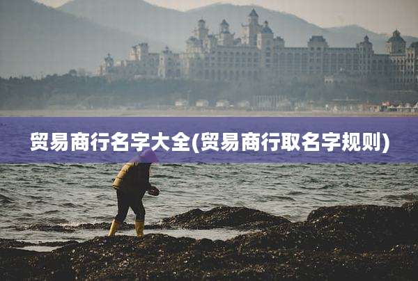 贸易商行名字大全(贸易商行取名字规则)