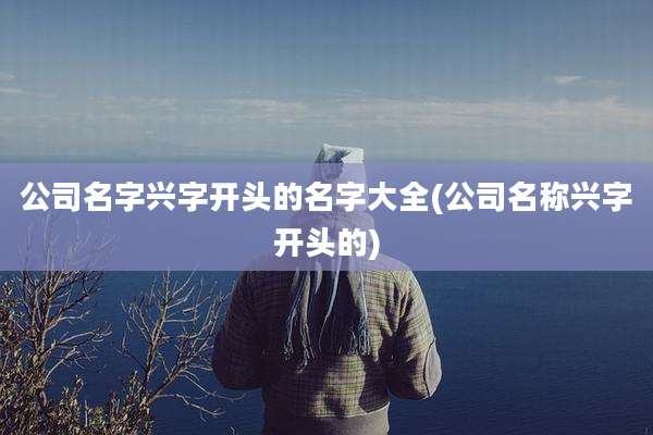 公司名字兴字开头的名字大全(公司名称兴字开头的)