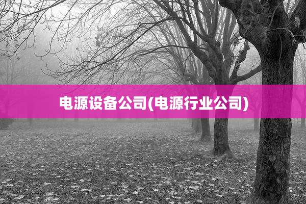 电源设备公司(电源行业公司)