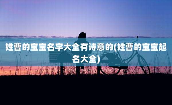姓曹的宝宝名字大全有诗意的(姓曹的宝宝起名大全)
