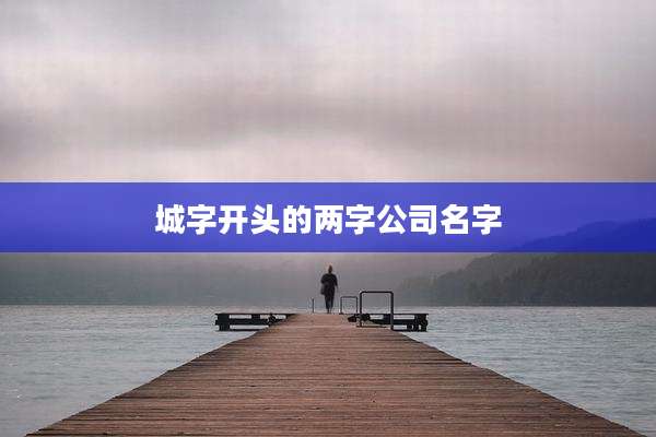 城字开头的两字公司名字